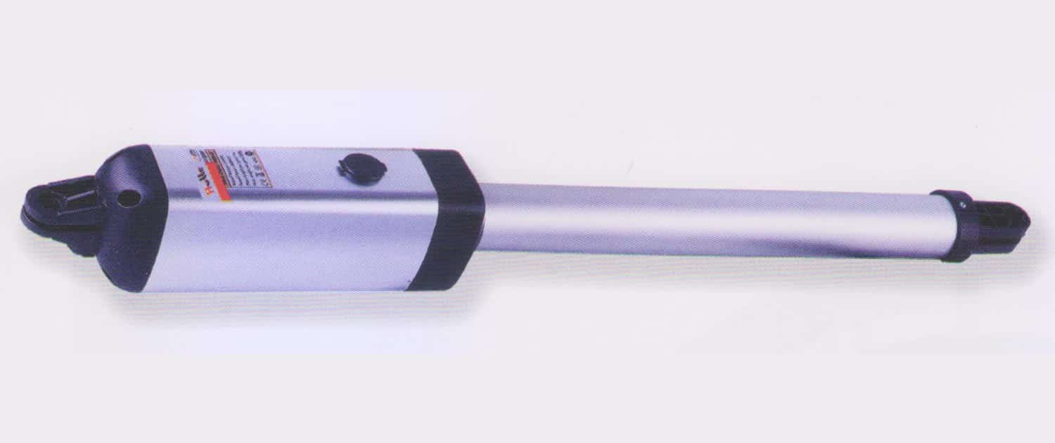 g1